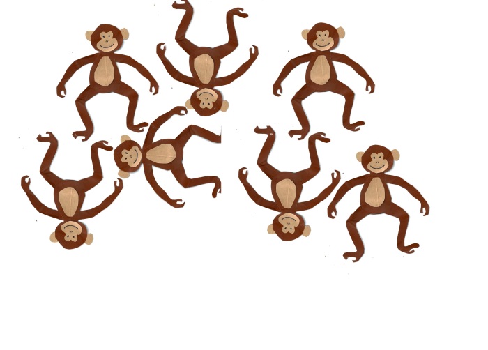 monkeys BLOG